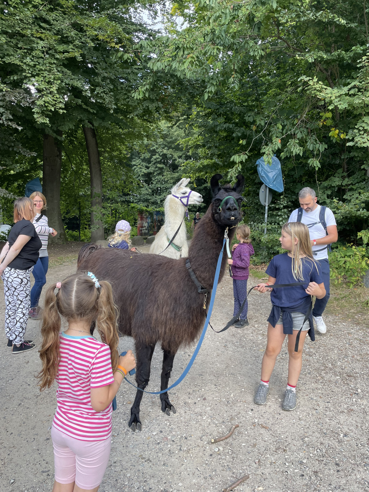 image00084